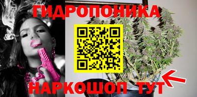 гидропоника Будённовск