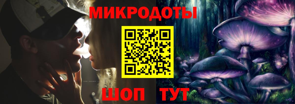 Псилоцибиновые грибы Psilocybine cubensis Старая Русса